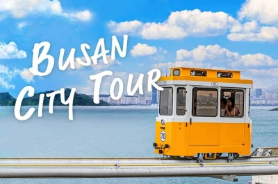 Feel busan’s creative energy with a day trip to gamcheon culture village, the sky capsule ride at haeundae, oryukdo skywalk, and seaside art walks. includes pickup.