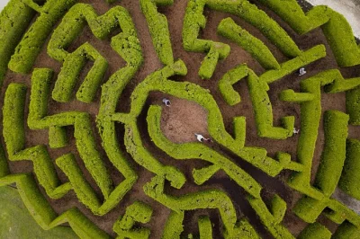 Entdecke den vandusen botanical garden in vancouver mit ticket für 55 hektar pflanzenvielfalt, probiere das heckenlabyrinth und genieße kaffee im café. sofortiger einlass.