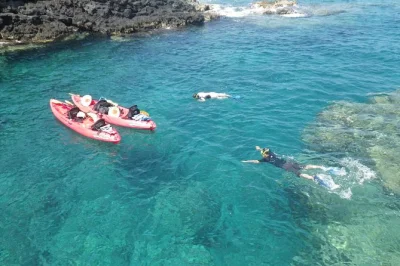 Start your morning paddling off kailua-kona, spotting spinner dolphins, exploring sea caves, and snorkeling vibrant reefs. small group, local guide, all gear included.