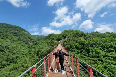 Découvrez l’histoire vivante de la corée avec une excursion d’une journée à la dmz depuis séoul. explorez le tunnel 3, observez la corée du nord et traversez le pont suspendu du mont gamaksa