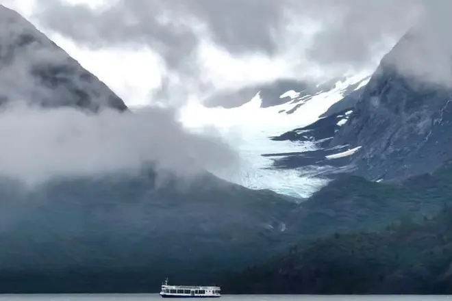 Whittier nach Anchorage: Wildlife, Gletscher und Beluga Point