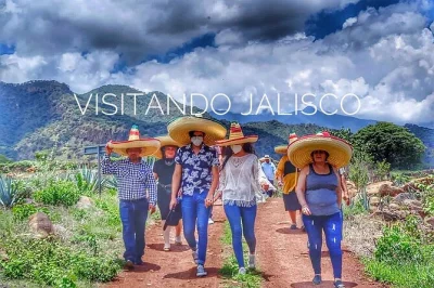 Entdecke die tequila-route ab guadalajara. besuche destillerien, koste tequila, sieh agavenfelder und genieße lokale aromen bei einer 8-stündigen geführten tour.