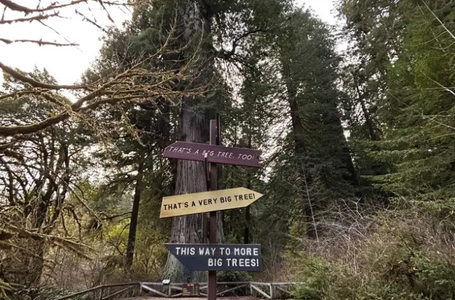 Recorridos a pie guiados en Redwood National and State Parks