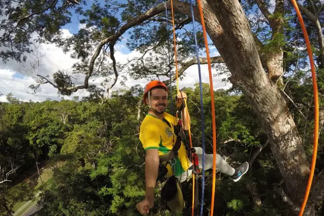 Escalade d’un angelin dans l’Amazonie près de Manaus