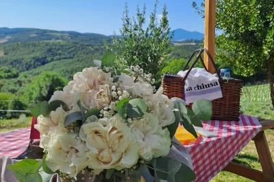 Prenota un picnic toscano con pane fresco, formaggi locali e salumi. goditi il tuo cestino nel uliveto, in vigna o sulla terrazza panoramica vicino a montepulciano.