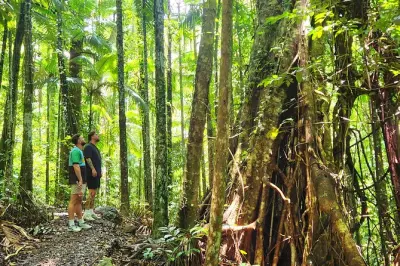 Cascate Cedar Creek e foresta pluviale da Airlie Beach