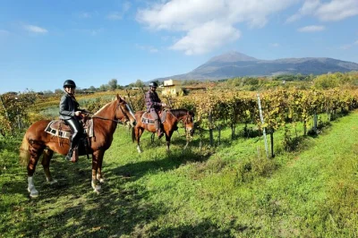Feel ancient pompeii with an archaeologist, taste local wine on vesuvius, and ride horseback through vineyards—entry ticket, lunch, and pickup included.