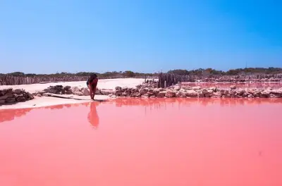 Yucatán Farben: Rosa Seen, Cenote & Strand ab Mérida