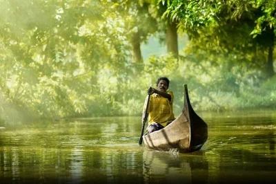 Explore kerala’s backwaters, tea hills, and wildlife on a 7-day tour from cochin. includes 4-star hotels, houseboat stay, and private guide.