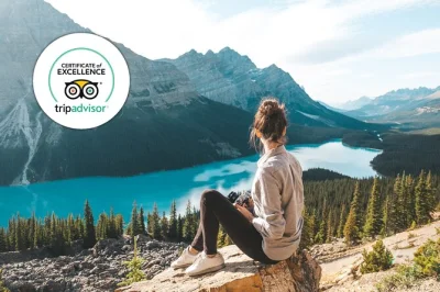 Feel the wild beauty of icefields parkway on a small group day trip from banff, with relaxed hikes, wildlife moments, and picnic lunch. includes pickup & local guide.