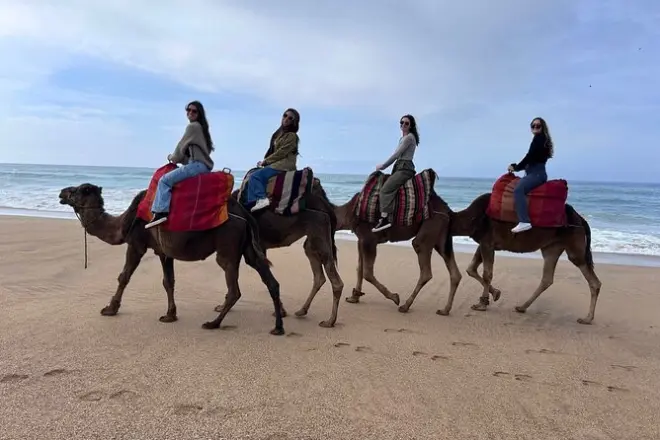 Tangier Private Tour: Kasbah, Cape Spartel & Camel Ride