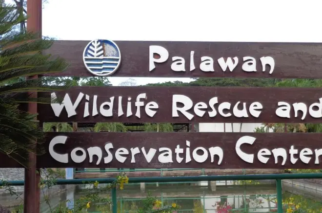 Puerto Princesa : Faune, histoire et baywalk en visite