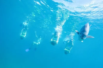 Los cabos erleben: power-schnorcheln, sea scooter, kajak & stand-up-paddling mit abholung, erfahrenen guides und frischen quesadillas am strand.