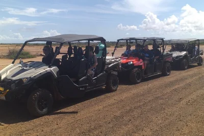 Descubre curazao en buggy por la costa oeste con cuevas secretas, flamencos salvajes y snorkel en la playa kokomo. incluye equipo de snorkel, agua y guía local.