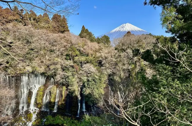Mt. Fuji tour privato in auto da Shimizu Port, Shizuoka: Evita la folla
