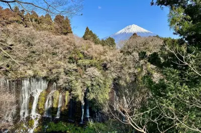 Mt. Fuji tour privato in auto da Shimizu Port, Shizuoka: Evita la folla