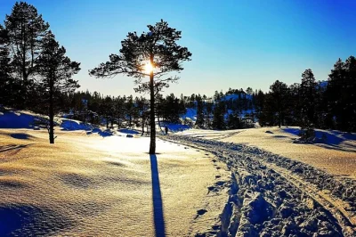 Feel the crunch of snow in trondheim’s forests on a cross country skiing tour, guided by a local instructor. includes ski rental, homemade snack, and hot drinks.