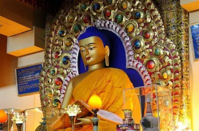 Tour privato a Dharamshala con guida: Siti del Dalai Lama e pranzo