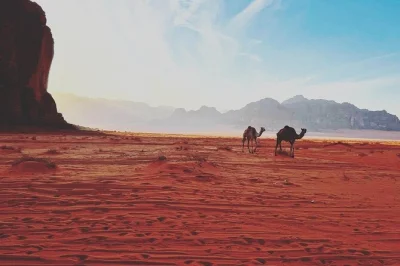 Reiten sie auf kamelen durch wadi rum, besuchen sie lawrence’s spring, den khazali canyon, sanddünen und genießen sie ein beduinen-mittagessen. buchen sie jetzt ihr wüstenabenteuer.