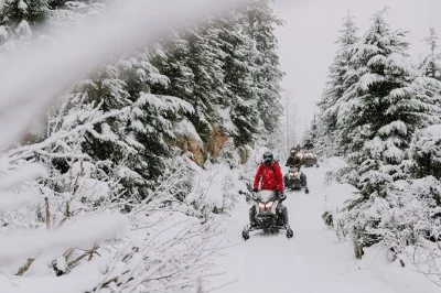 Feel the first rush of snowmobiling in whistler’s callaghan valley, guided by locals with gear included. includes shuttle, training, and a stop at northair goldmine.