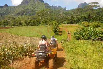 Quad-Tour Moorea: Ananasfelder & Ausblick auf die Bucht