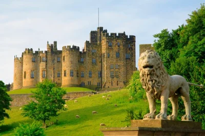 Step into northumberland’s history with a small group day trip from edinburgh, exploring alnwick castle, holy island, and coast views. includes guide & transport.