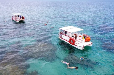 Feel the sea breeze on a catamaran, snorkel maracajaú’s reefs, and share a meal with locals—full-day trip from natal with hotel pickup and snorkeling gear included.