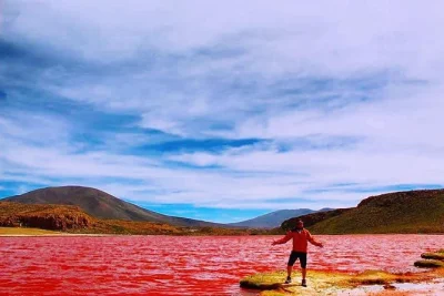 Erlebe die tour zur laguna roja in chile. besuche die rote lagune, bewundere uralte felszeichnungen und genieße frühstück und mittagessen mit erfahrenen guides.