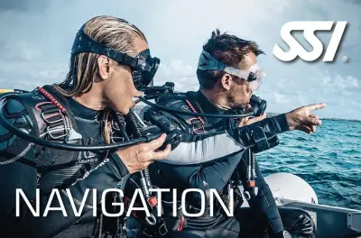 Navigation sous-marine à Tenerife : Spécialité PADI