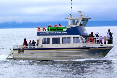 Feel the thrill of whale watching in victoria with expert naturalists, small group cruise, and real-time marine life insights. includes 3-hour tour from victoria.