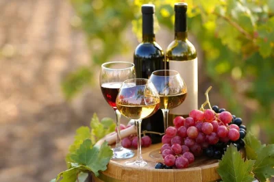 Tour privato di lusso nel parco naturale di arrábida, mercato do livramento e palazzo bacalhôa con degustazione esclusiva di vini e formaggi. trasferimento dall’hotel incluso.