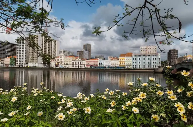 Recife Airport Shared Transfer: Professional Driver, Hotel Pickup