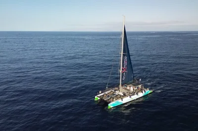 Viva a emoção de ver baleias nas falésias de los gigantes, ouvir golfinhos, nadar na baía de masca e saborear comida local num catamarã sustentável. inclui almoço e bebidas.