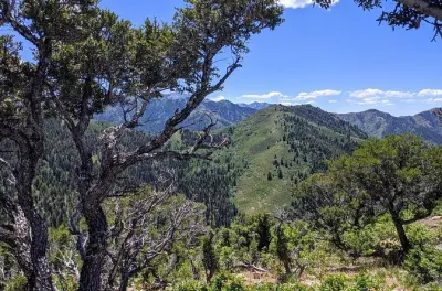 Park City Hiking with Local Guide: Mountaintop Views