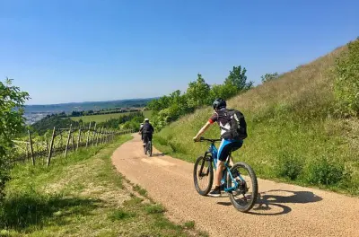 E-Bike Tour with Wine Tasting from Salò: Lake Garda & Valtenesi