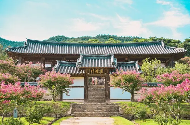Tour privato ad Andong: Villaggio Hahoe e accademia confuciana
