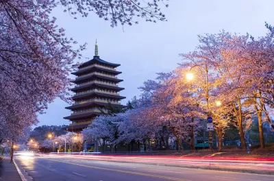Gyeongju visite privée avec guide agréé : 8 heures