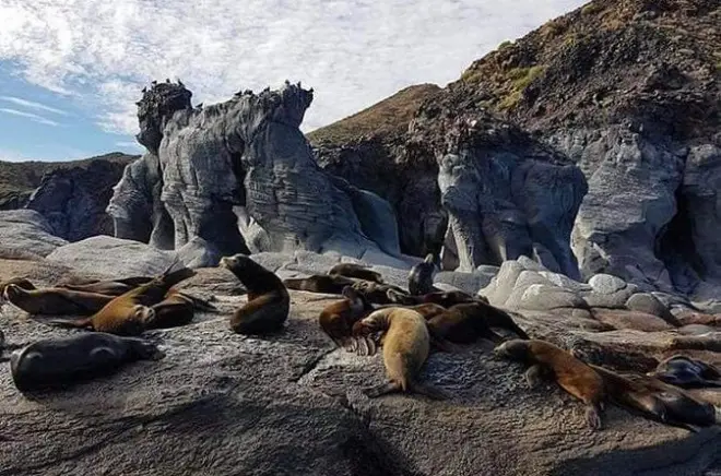 Ilha Coronado saindo de Loreto: Snorkel e leões-marinhos