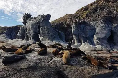 Tour zur Coronado-Insel ab Loreto: Schnorcheln & Seelöwen