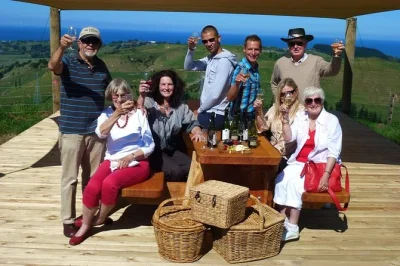 Descubre los viñedos de napier, degusta vinos en mission estate y trinity hill, y termina con chocolates artesanales. incluye recogida y guía local.