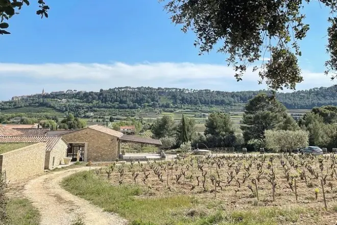 Degustazione vini Bandol e visita cantina vicino a Toulon