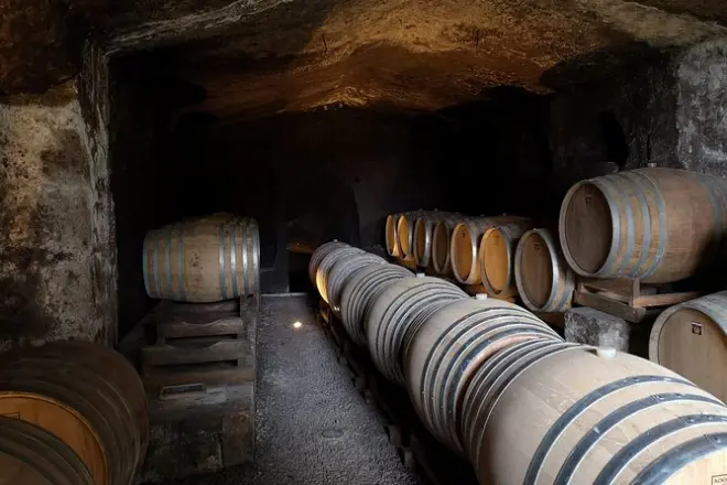 Dégustation de vins à Orvieto en e-bike : 2 caves, 5 heures