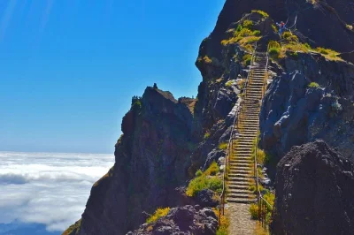 Walk ancient heather forests, cross wild rock ridges, and reach pico ruivo’s summit on this madeira day hike with hotel pickup from funchal and a local guide.