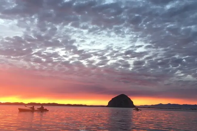 Kayaking on Morro Bay Estuary: Custom-guided Central Coast