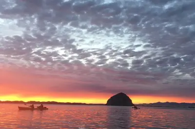 Tour in kayak nell’estuario di Morro Bay con guida personalizzata
