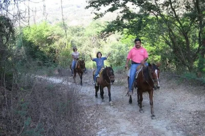 Ride horses through mountain villages and along the sand beach. explore rural trails, spot wildlife, and enjoy a local guide on this unique adventure.