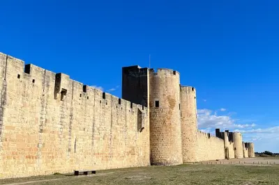 Camargue and Aigues-Mortes half-day tour from Montpellier