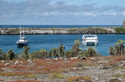 Snorkeling in Puerto Ayora: South Plazas & Punta Carrion