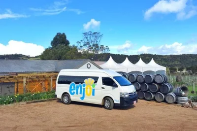 Desfrute dos vinhos premiados de waiheke island, relaxe em vinícolas boutique e aproveite um longo almoço no vinhedo com transfer e guia local inclusos.