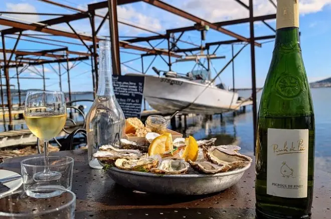 Picpoul Wein- und Austernverkostung: Von Béziers zum Étang de Thau